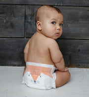eco nappies
