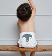 eco nappies