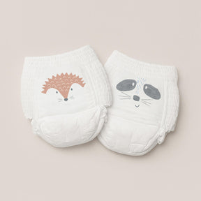 Size 6 nappy pants: hedgehog & raccoon