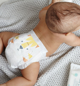 eco nappies sample pack